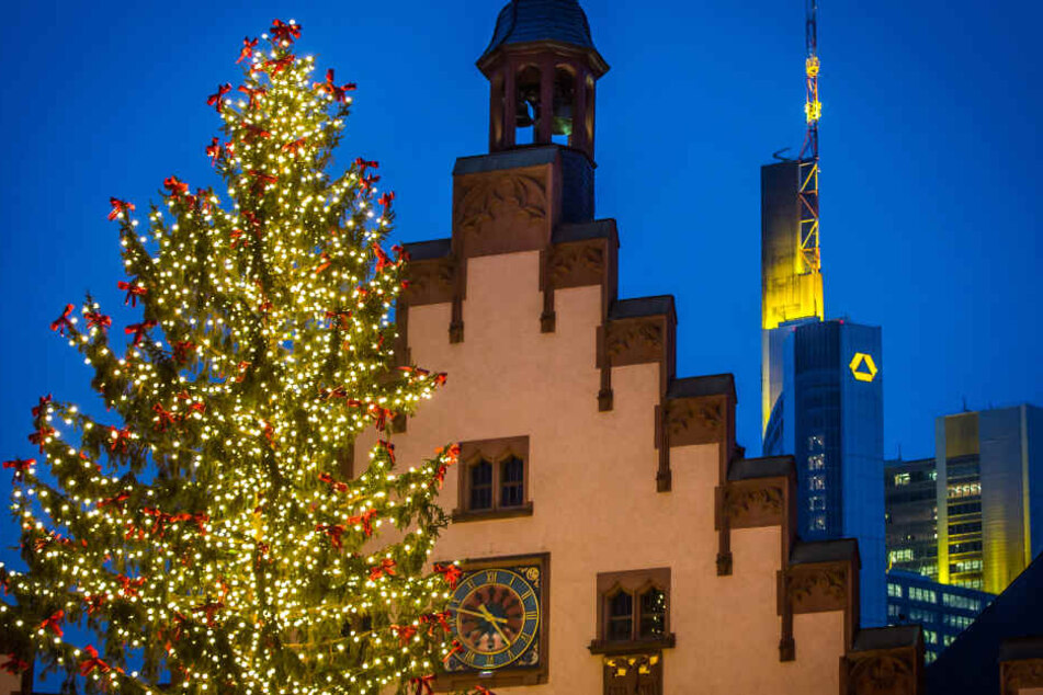 Die Wahl des Frankfurter Weihnachtsbaums wird jedes Jahr heiß diskutiert (Archivbild).