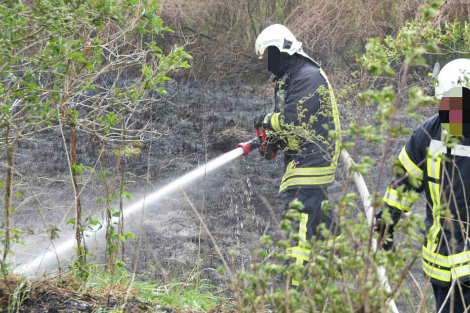 Ein Kamerad der Feuerwehr wurde bei dem Einsatz verletzt.