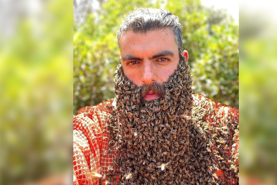 Johny Abou Rjeily zeigt auf seinen Social-Media-Kanälen den Imker-Alltag mit seinen Bienen.