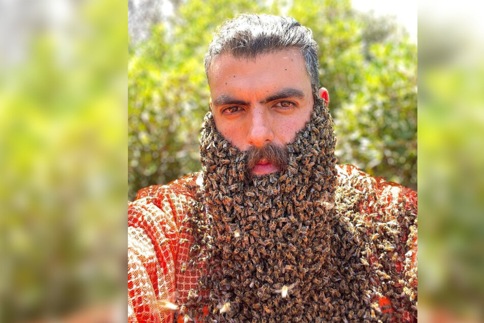 Johny Abou Rjeily shows off his everyday life with his bees, including shocking clips where his beard is chock full!