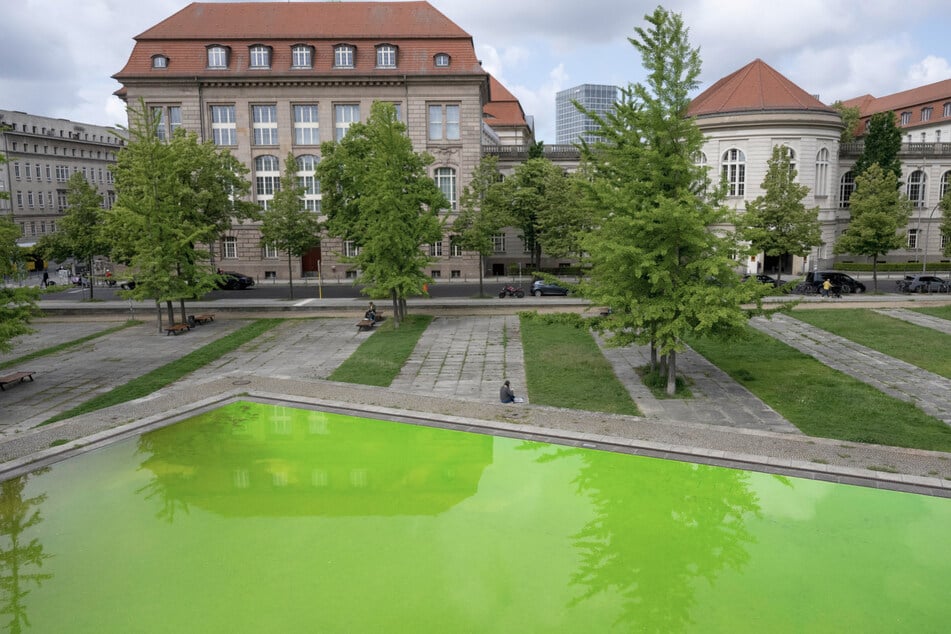 Das Grün passt zumindest farblich zu den Bäumen.