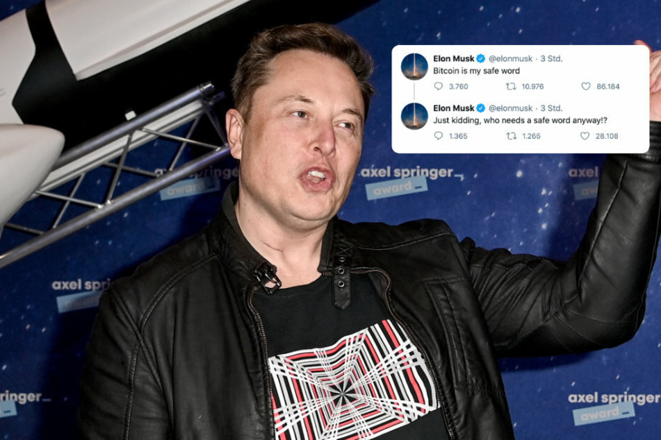 Elon Musk: Perverse Anspielungen auf Elon Musks Twitter-Account: Was ist denn da los?