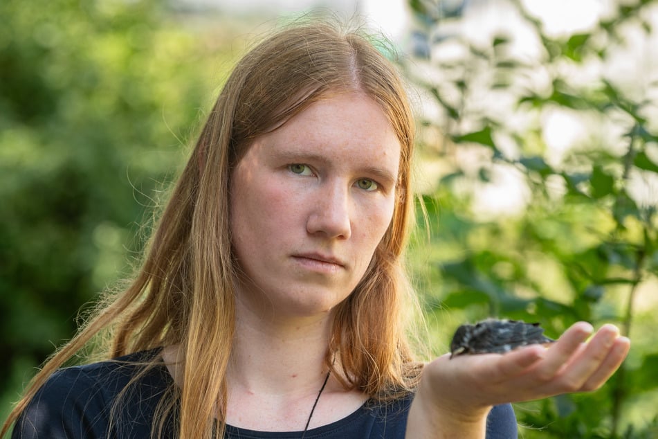 "Es ist gefährlich, den Vögelchen Wasser anzubieten", erklärt Stationsleiterin Ronja Fulsche (27).