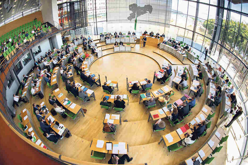 Die FDP möchte gerne wieder in den Sächsischen Landtag einziehen. Dafür muss sie am 1. September aber erst einmal die 5 Prozent-Hürde nehmen.