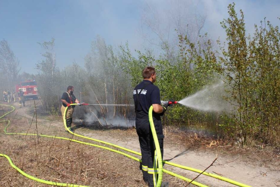Kameraden aus Regis-Breitingen, Lobstädt und Neukieritzsch löschten den Brand.