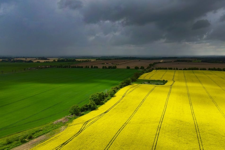 Temperatursturz, Regen und Schnee: Frühling drückt weiter auf Pause