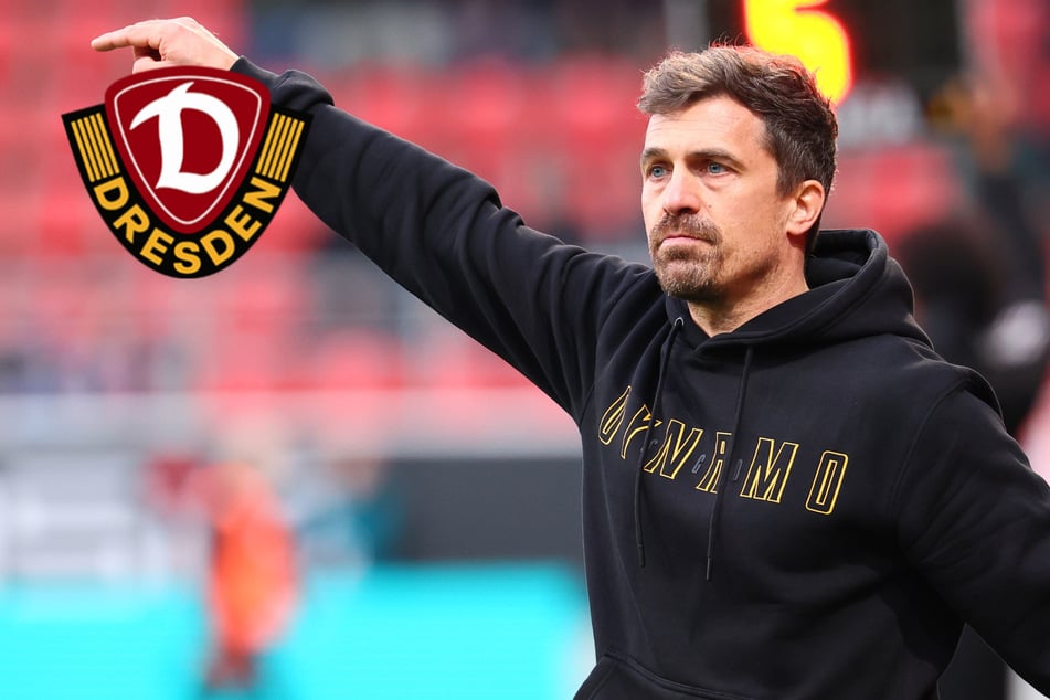 Dynamo-Coach Stamm kritisiert Kartenflut: "Ich war bei ihm in der Kabine und habe das auch so gesagt"