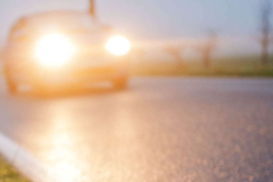 Ein Autofahrer ist in Mecklenburg-Vorpommern mit einem Nandu zusammengestoßen.