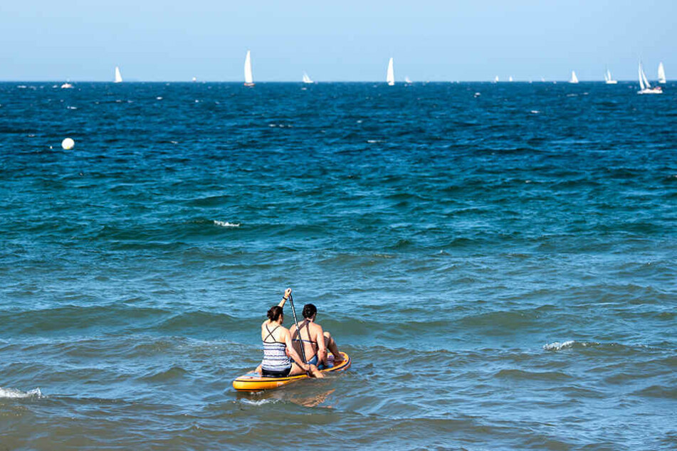 Zwei Frauen paddeln auf der Ostsee auf einem Stand-Up-Paddling-Board.