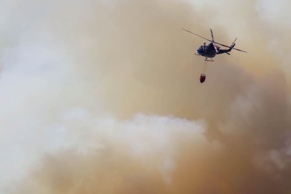 Waldbrand im Nationalpark: Rauchwolke bis nach Sachsen sichtbar