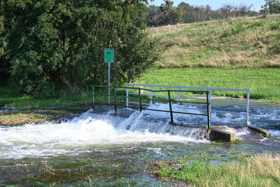 Die abgelassenen Wassermassen fluten Felder und Wiesen.