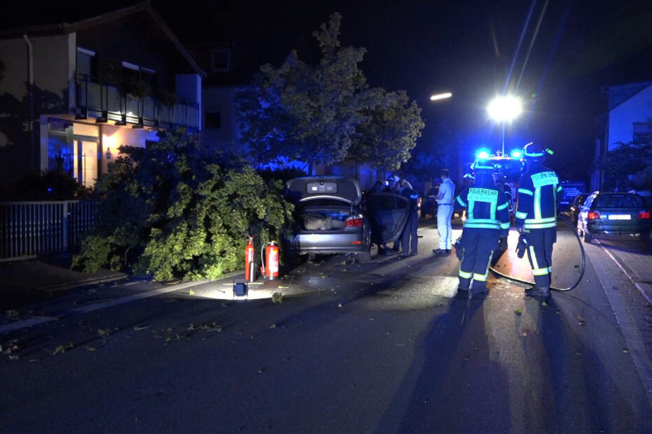 Der Baum wurde durch die Wucht des Aufpralls entwurzelt.