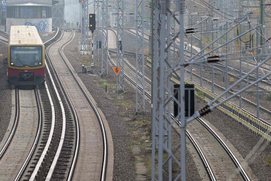Fährt in Richtung Ostkreuz: Eine S-Bahn aus Karlshorst.