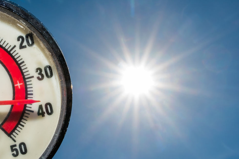Während Deutschland unter Temperaturen über 30 Grad schwitzt, kletterten die Werte in Pakistan auf 54 Grad!