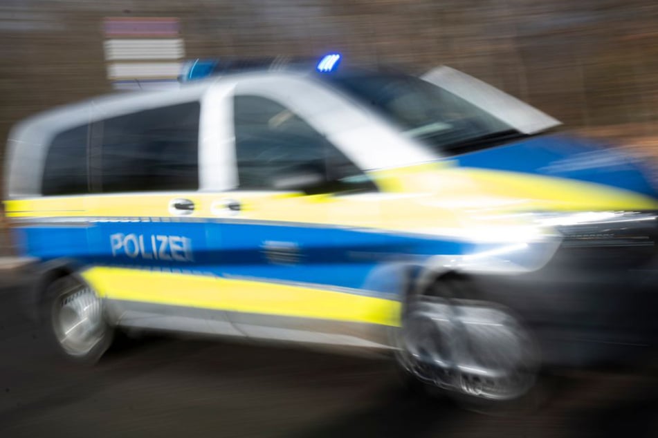 Die Polizei rückte zur tierischen Rettungsaktion an. (Symbolfoto)