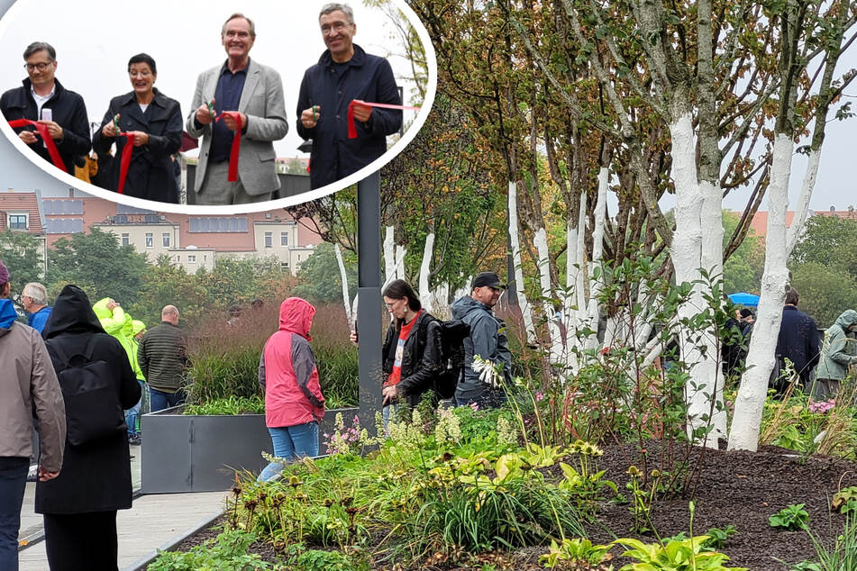 Leipzig: Lustwandeln in luftiger Höhe: Leipzigs ungewöhnlichste Flaniermeile ist betriebsbereit!