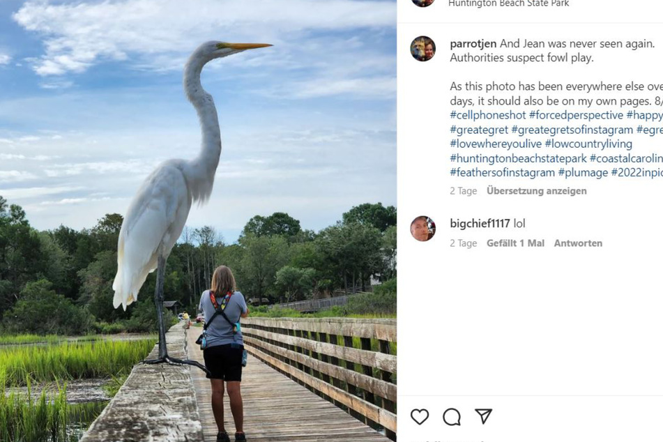 Jenny Hough's Instagram page showed off her accidental photo with a punny caption.