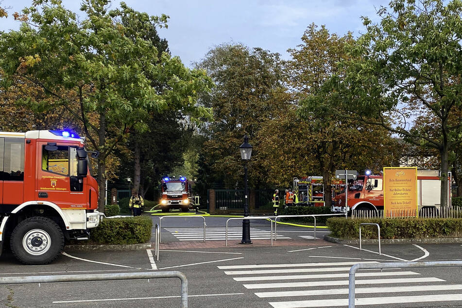 Nach Feuer im Heidepark Soltau: Freizeitpark öffnet wieder seine Tore