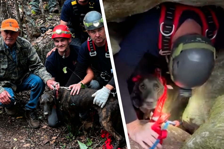Feuerwehr rettet Jagdhund nach drei Tagen aus dunkler Höhle: Doch er war nicht allein!