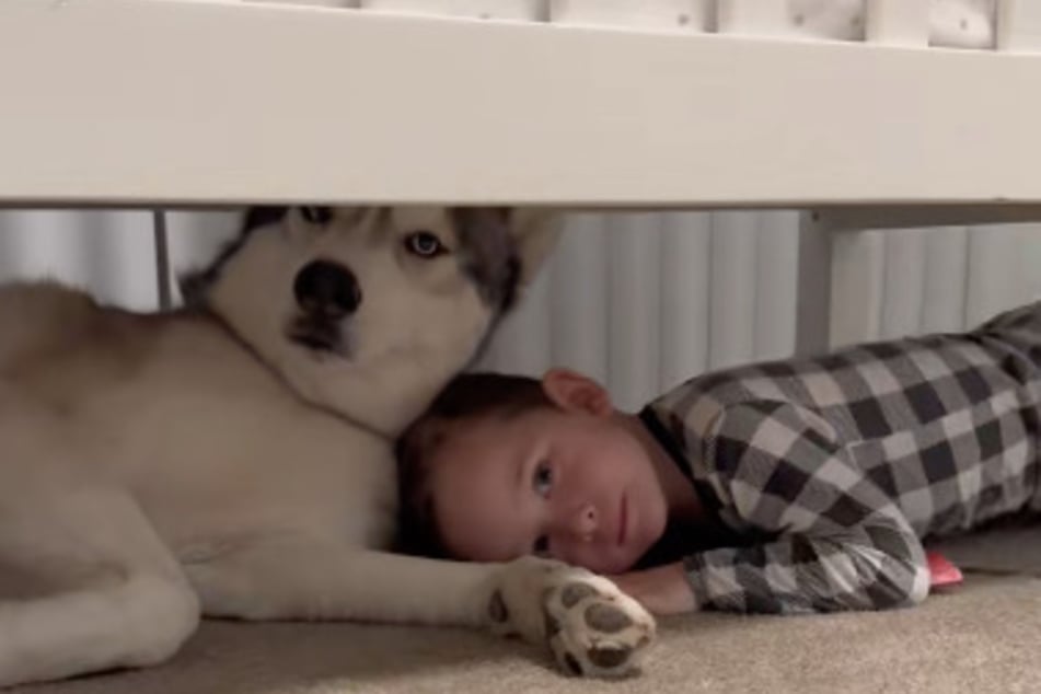 Aktuell kuscheln Hund und Kind zusammen unter dem Bett.
