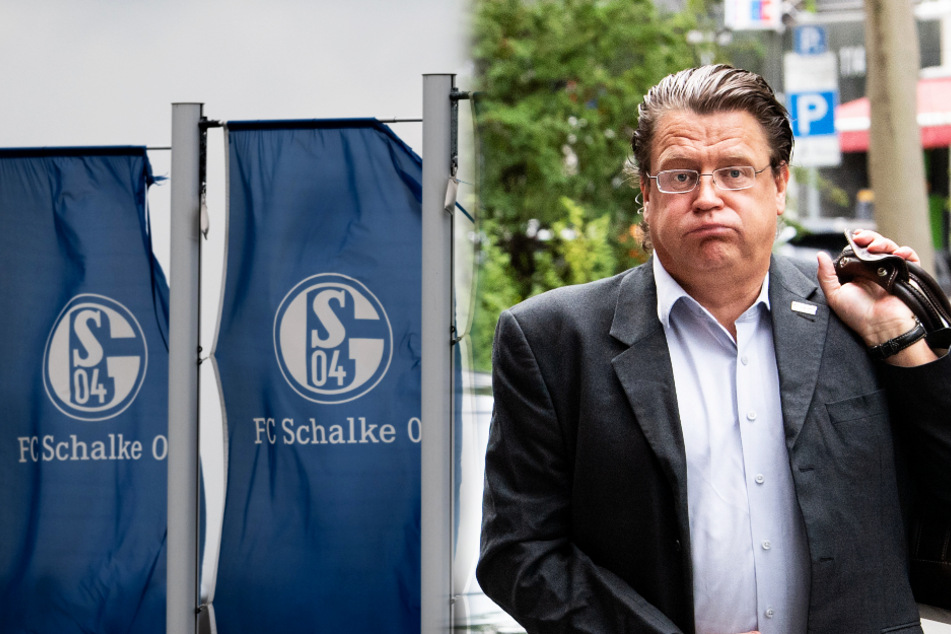 AfD-Mann Stephan Brandner (54) kassierte ein wahres Twitter-Gewitter!