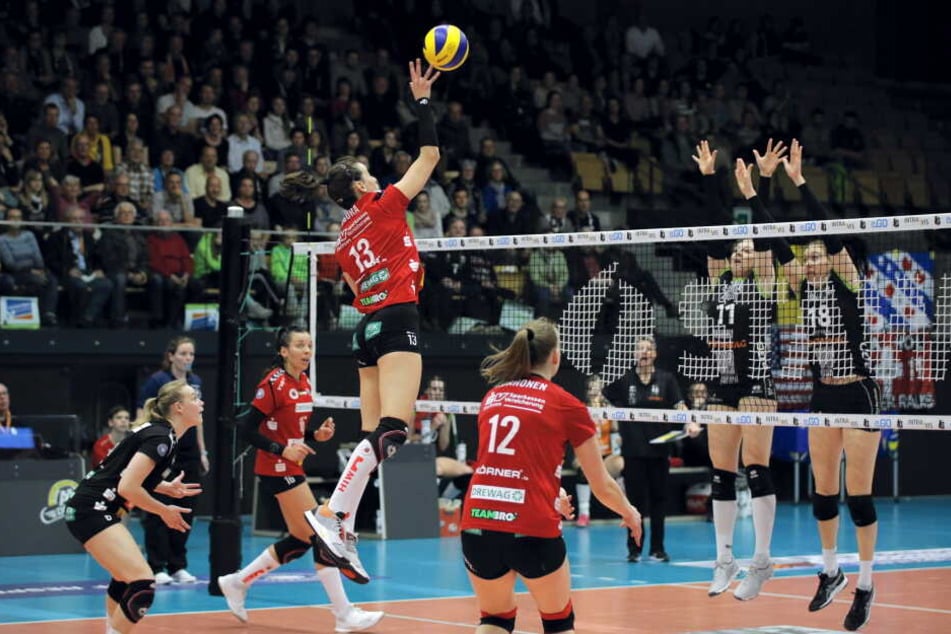 Der DSC in der Steengoed Arena von Maaseik