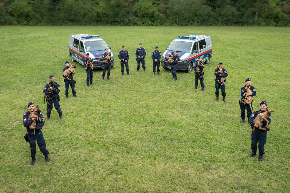 In Wien werden Hunde der Rassen Schäferhund (Belgische, Holländische, Deutsche), Rottweiler und Riesenschnauzer im Polizeidienst eingesetzt.
