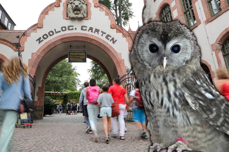 Vom Zoo Leipzig in die weite Welt: Tierpärchen muss sich ab jetzt allein durchschlagen
