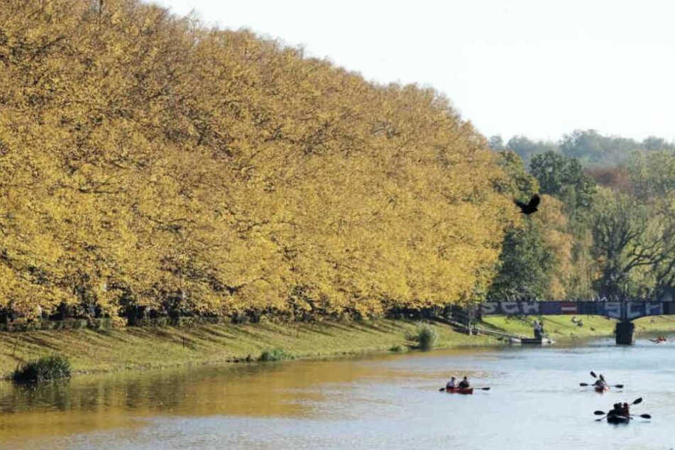 In Leipzig erfreut sich das Paddeln größter Beliebtheit.