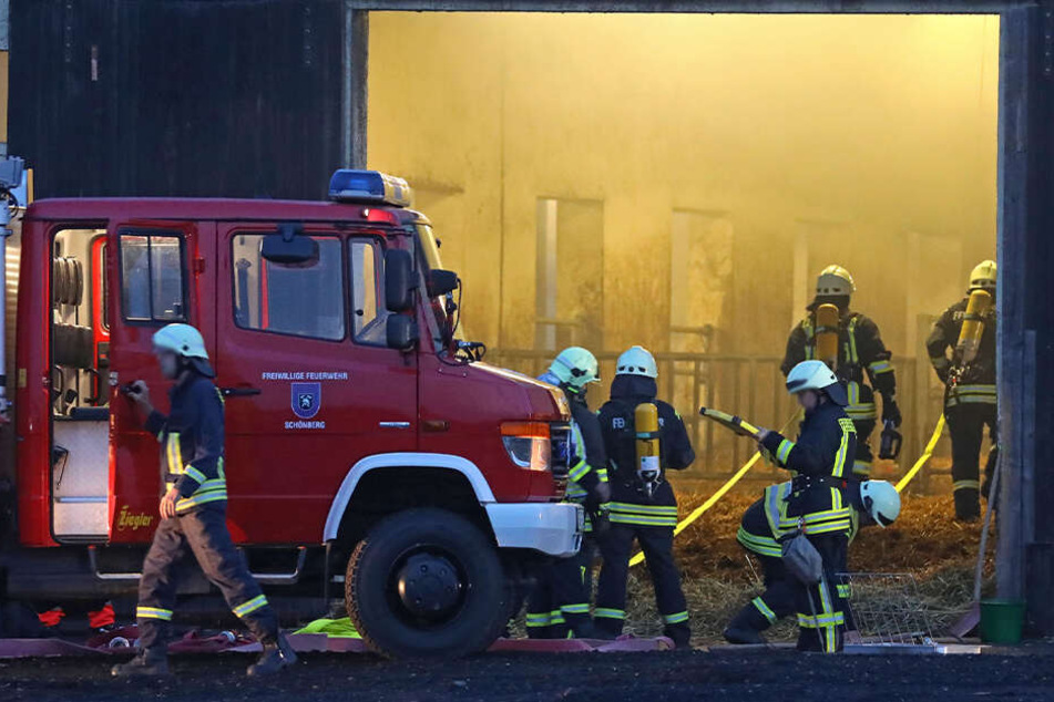 In dem Stall soll es zu einem Schwelbrand gekommen sein.