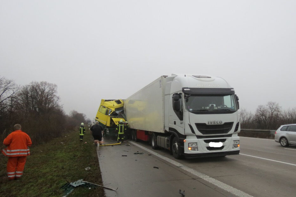 Der aus der Ukraine stammende Sattelzug war mit 19 Tonnen Bananen voll beladen.