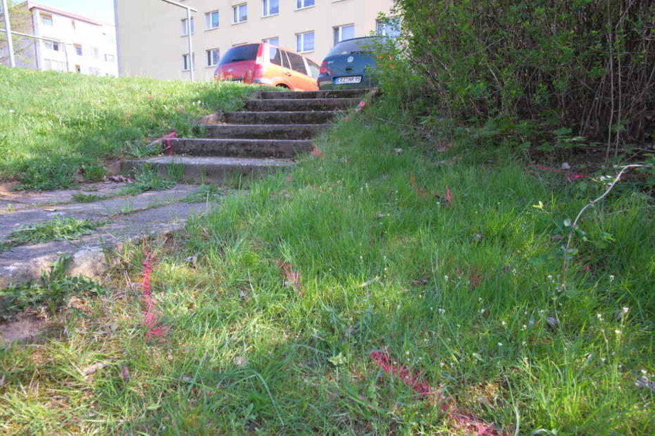 Spuren eines tödlichen Unfalls: Die Kripo markierte den Weg des Citroen über die Treppe.