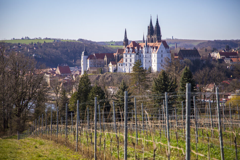 Durch die Weinberge in Meißen!