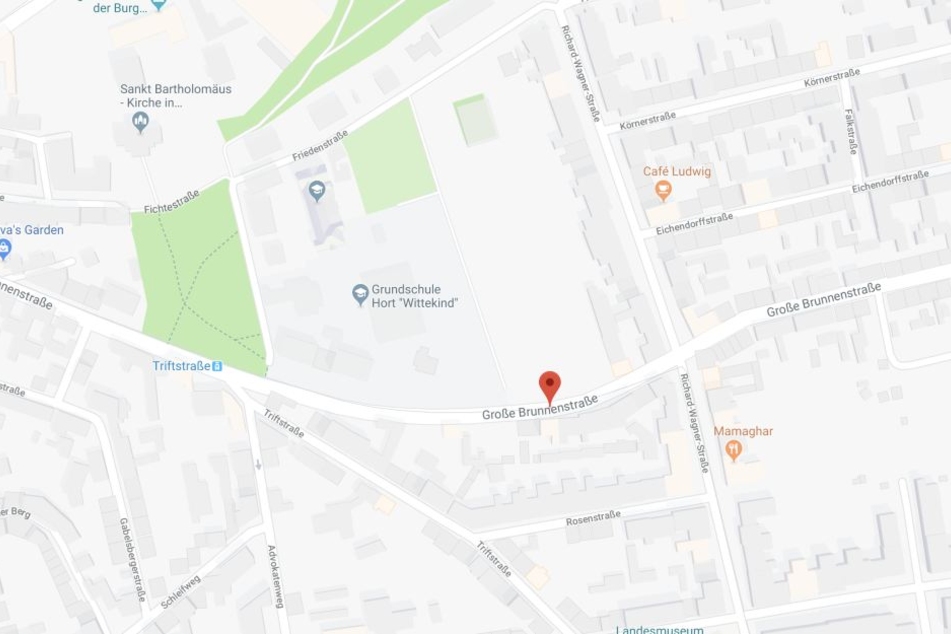 Der Vorfall ereignete sich in der Großen Brunnenstraße im Ortsteil Giebichenstein.