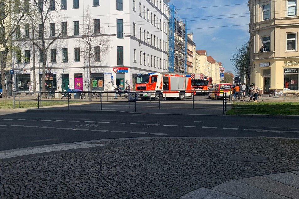 Leipzig: Waschbär-Alarm auf der Karli - Hallo, wie komm' ich denn