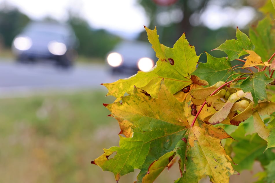 Erst steigen die Temperaturen, dann fallen sie wieder. Das Wetter tendiert so langsam in Richtung Herbst. (Symbolfoto)