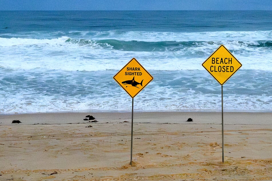 Shark kills diver off Western Australia in fourth fatal attack of 2026