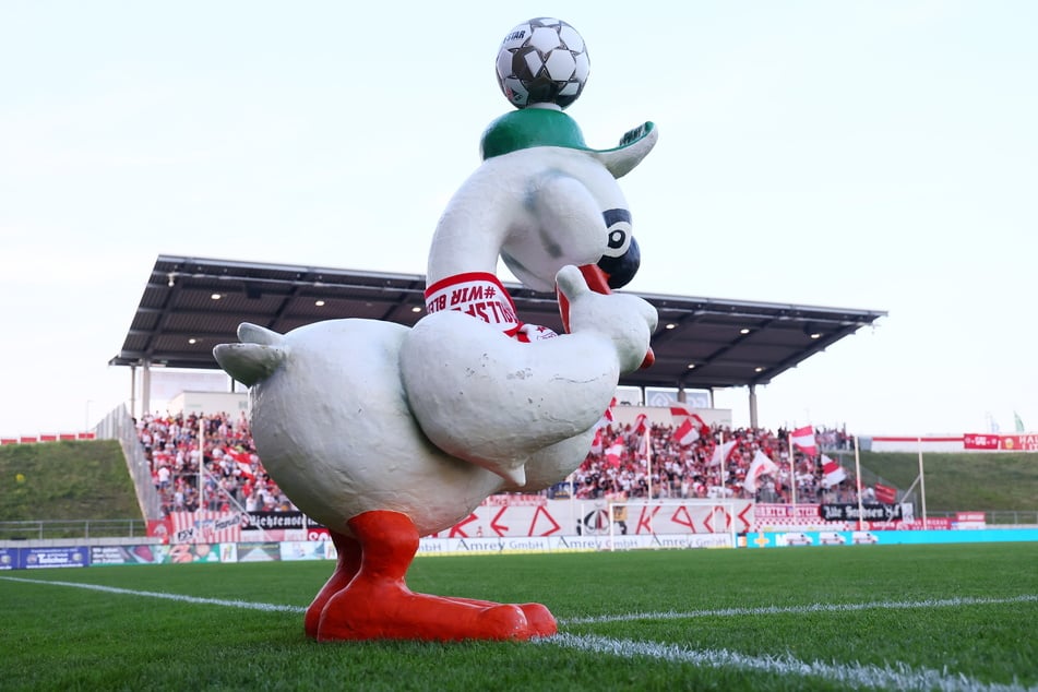 Selbst FSV-Maskottchen Robert Schwan kann derzeit nicht hinschauen. Jetzt muss Zwickau zumindest erst einmal im Landespokal in Dresden bestehen.