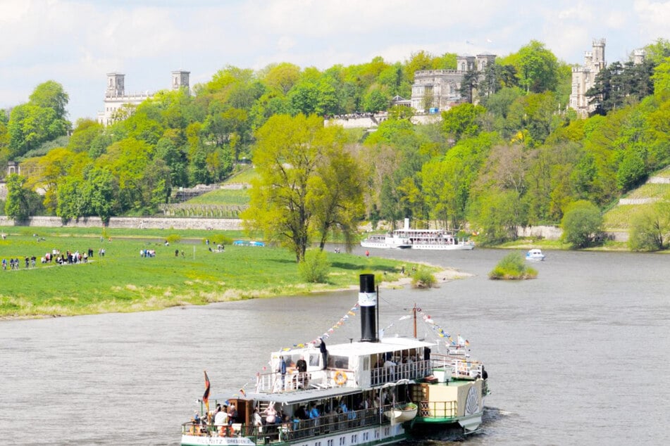 Die drei Elbschlösser im Hintergrund, u. a. das Hotel Schloss Eckberg (rechts).