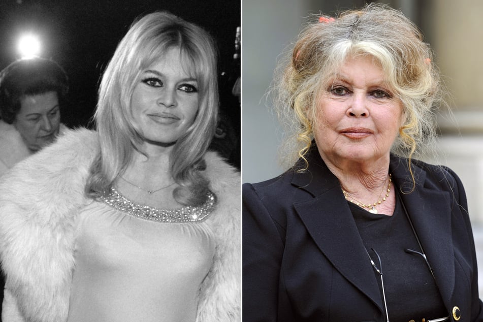 Brigitte Bardot, France's controversial screen siren, has died