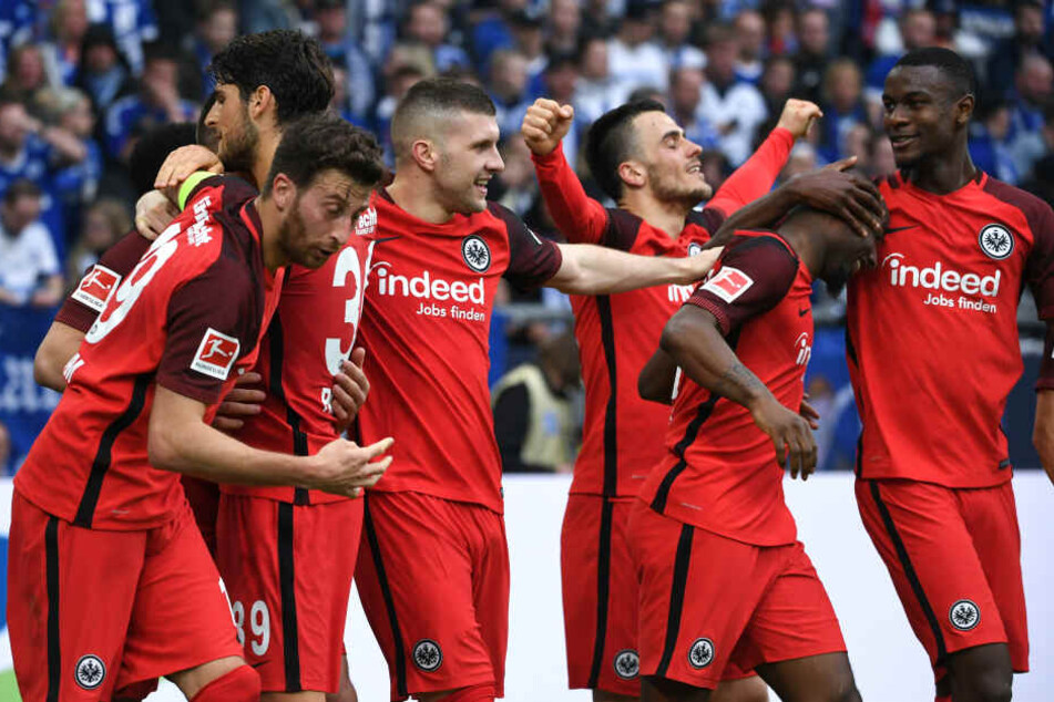 Deutscher Social Media Meister: Über einen Titel kann sich die Eintracht nach dieser Saison also doch freuen