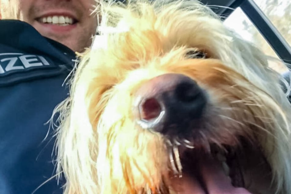 Erinnerung: Schnell noch ein Selfie mit dem Fundhund.