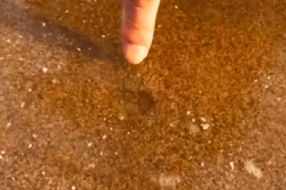 In einem Video ist zu sehen, wie kleine Luftblasen aus dem Sand aufsteigen.