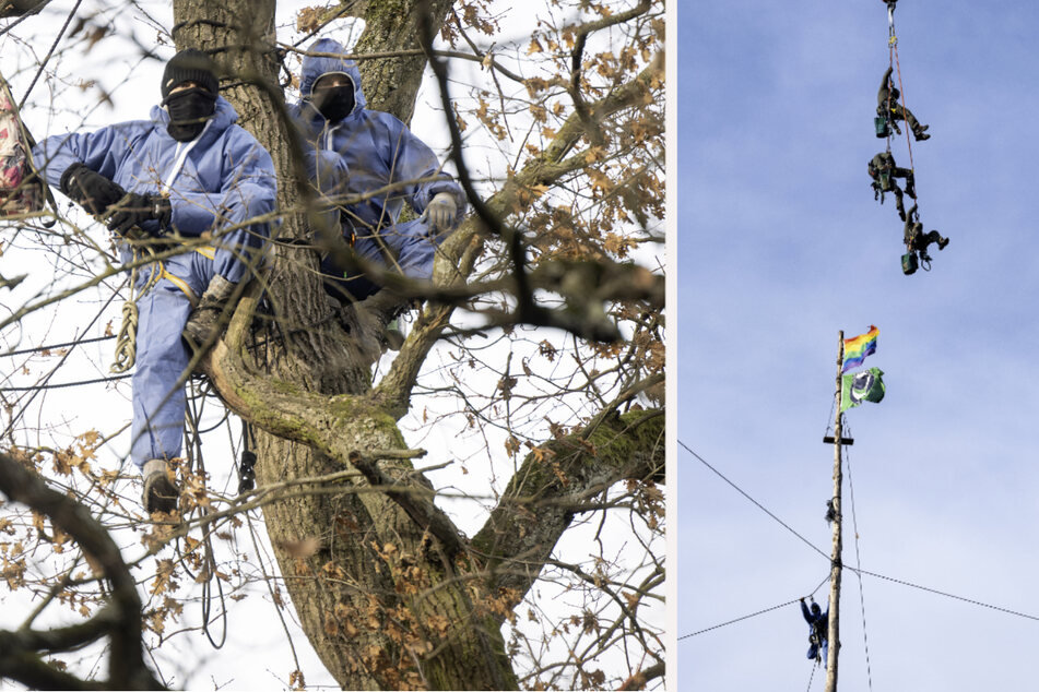 Per Kran wird ein Höheninterventionsteam zu einem Aktivisten gebracht, der in einem Baum hängt.