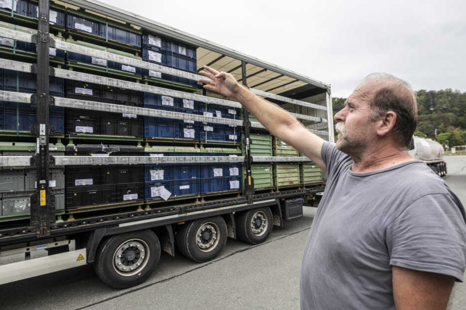 Problem für Tamas Pél (56): Sein Laster war zu hoch, er musste umladen.