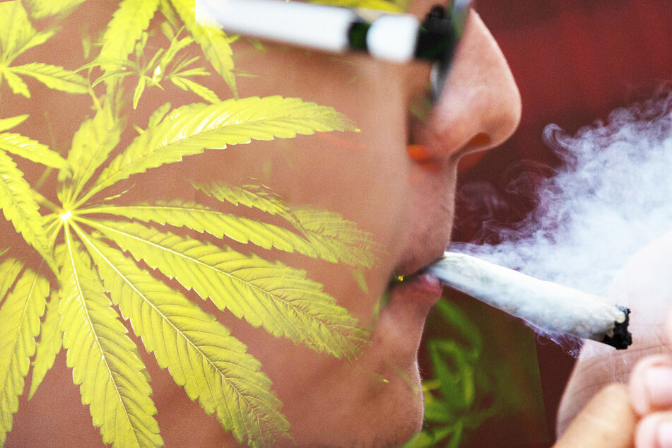 Cannabis kann nicht nur als illegale Rauchware, sondern auch für Medizinprodukte verwendet werden.