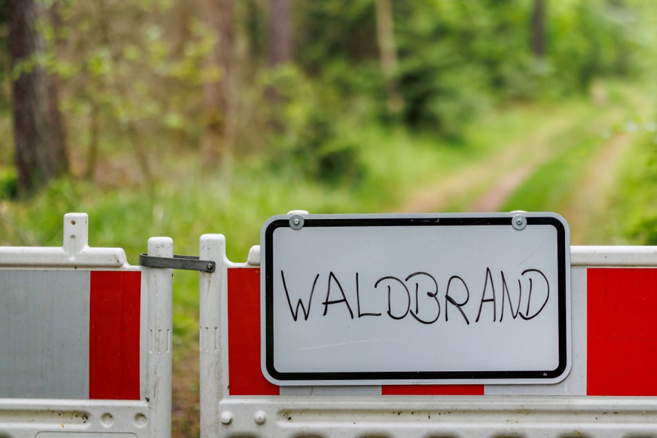 Waldbesucher werden zur Vorsicht aufgerufen. (Symbolbild)
