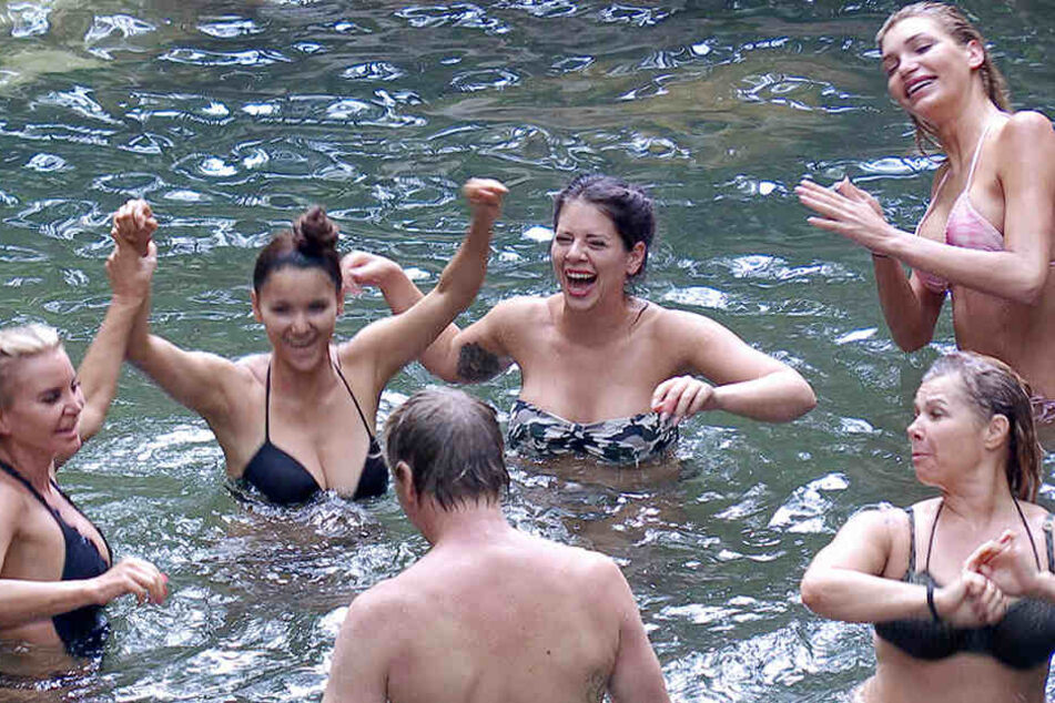 Hahn im Korbe... Ansgar hat Spaß mit den Dschungel-Meerjungfrauen.