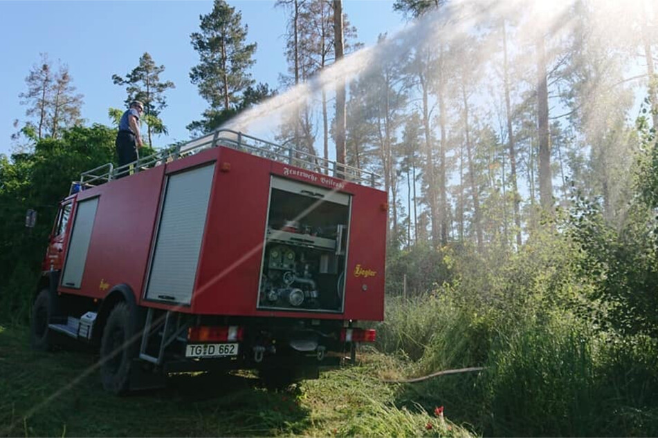 Am Donnerstagnachmittag spritzten die örtlichen Feuerwehren noch vom Waldrand aus Wasser auf die Brandstellen.