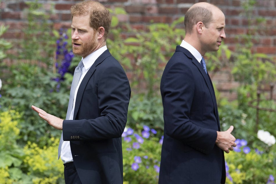 Prinz William soll kein Fan davon sein, dass sein Bruder Harry eine Dokumentation über ihre Mutter plant.